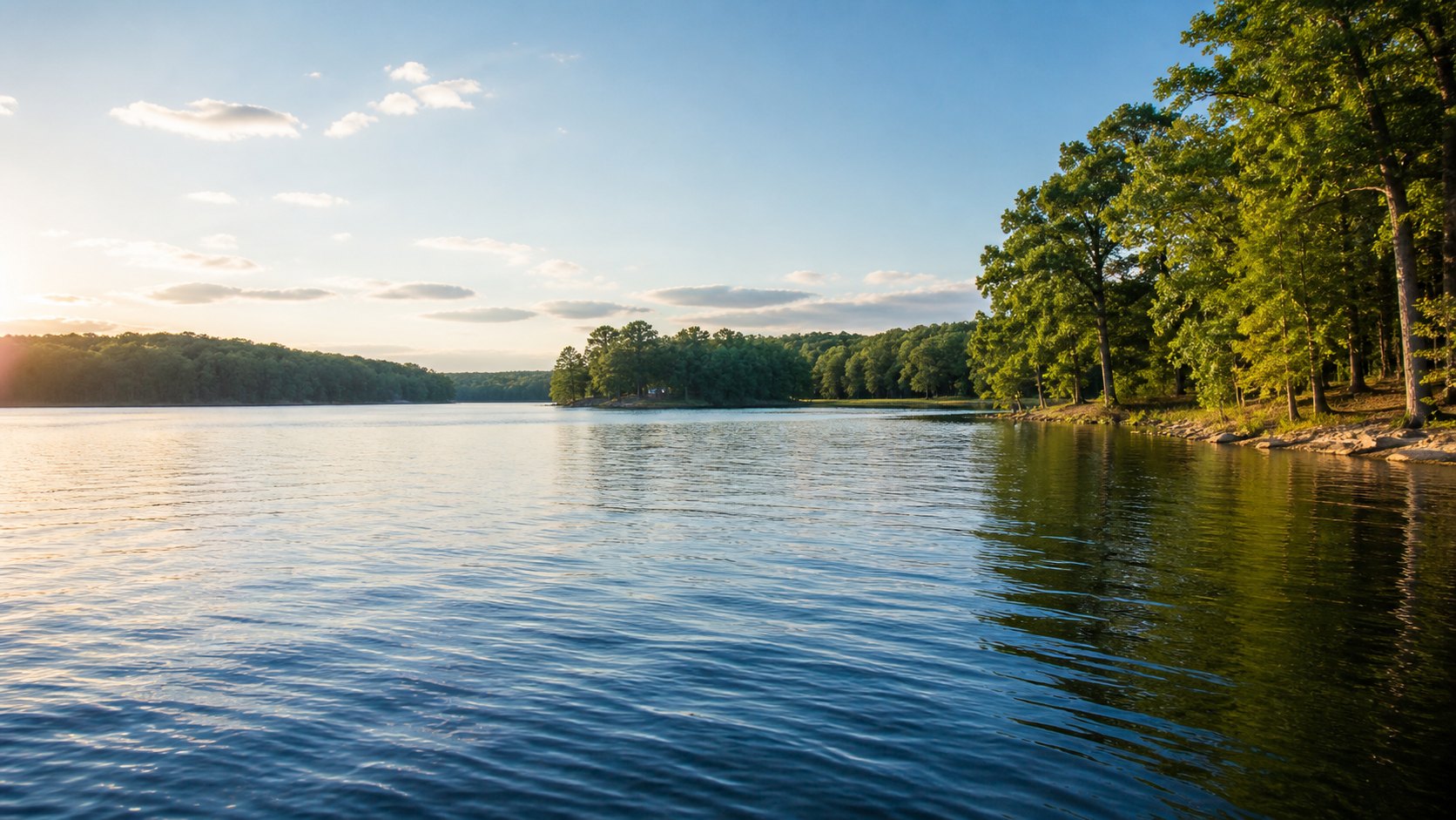 Hyco Lake water and wooded shoreline near Roxboro